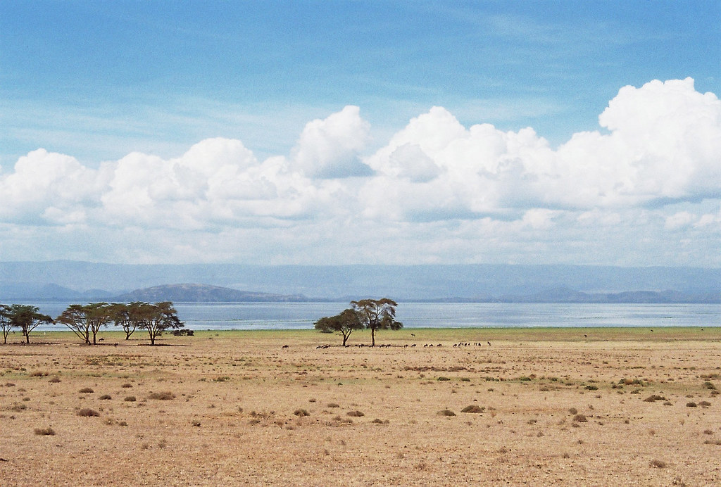 The Most Exciting Stages Of The WRC Safari Rally Kenya