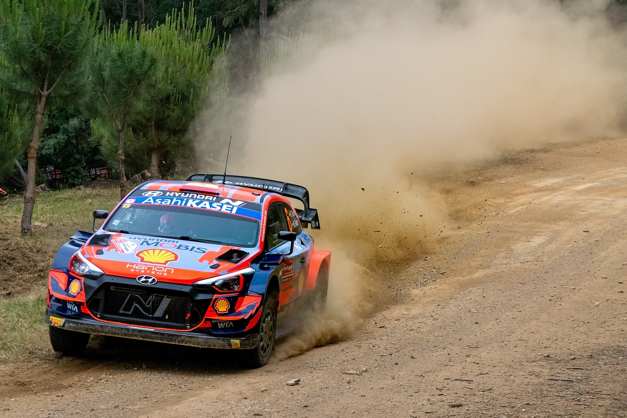 wrc rally chile 2024 stages preview for new